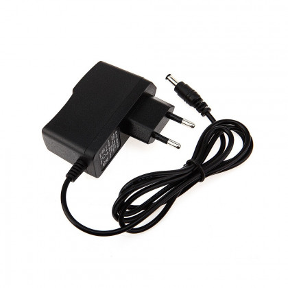 12v 1A adapter